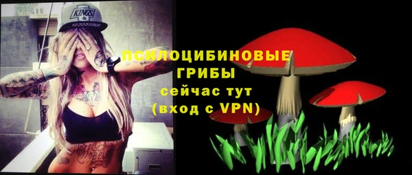 2c-b Медвежьегорск
