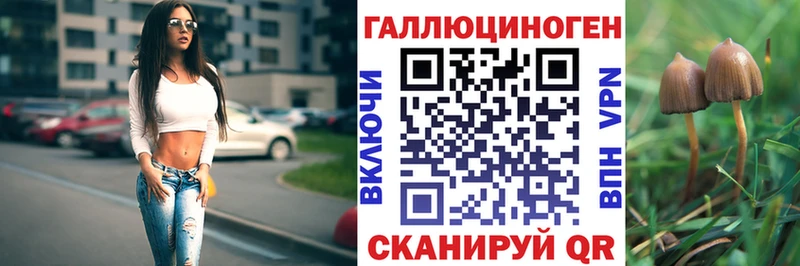 что такое   Чегем  Галлюциногенные грибы Psilocybe 