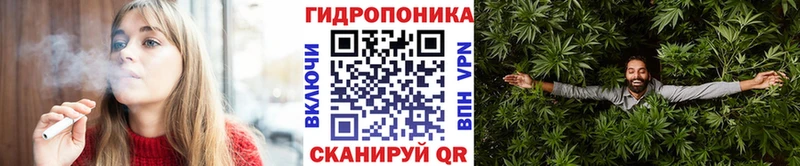 Конопля OG Kush  mega как войти  Чегем  где найти наркотики 